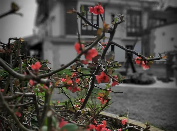 Gæstehus Marina Suances