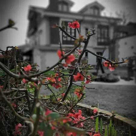 Pensionat Marina Suances